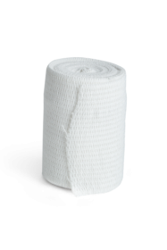 
            Idealbinde (6cm x 5m)
    